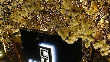 施設の正面 (日没後) / 8