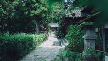 ランド ビュー / 25