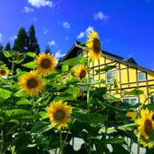 ゲストハウス キンザザ（岐阜県 ゲストハウス・ホステル・ドミトリー） / 4