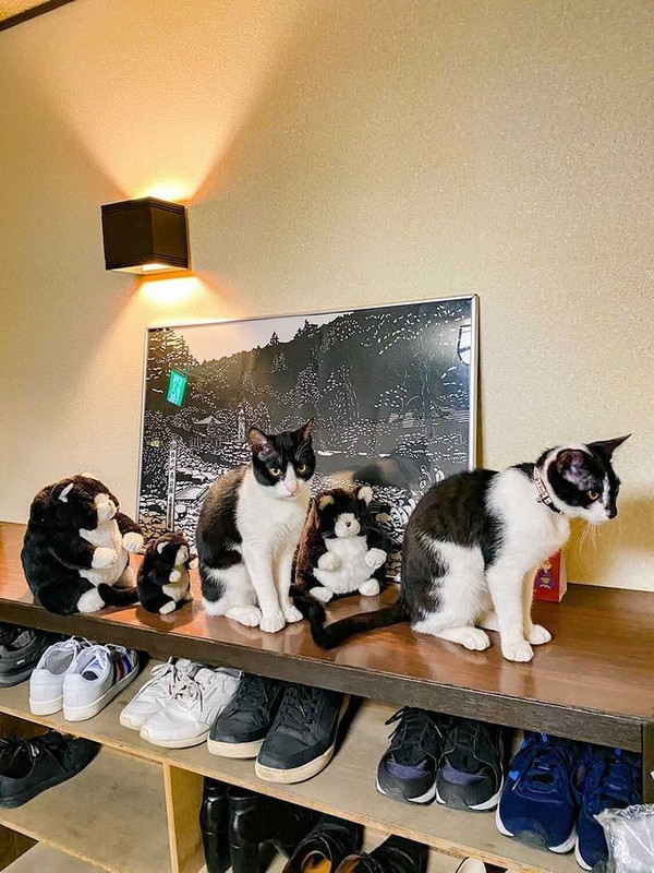 shihoko0922さんの写真 / 1