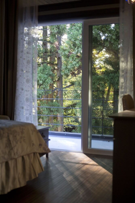 バルコニーからの眺望