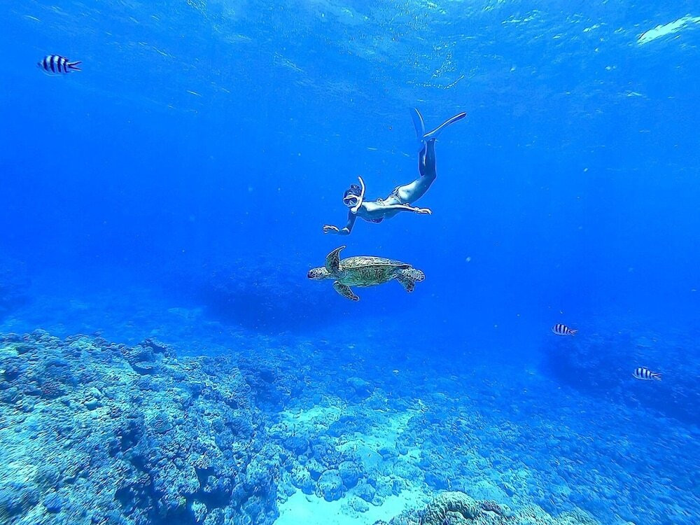 サーフィン / ボディボード