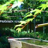 下呂温泉 こころをなでる静寂 みやこ（岐阜県 旅館） / 5