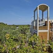 西表島ジャングルホテル パイヌマヤ（沖縄県 リゾートホテル） / 3