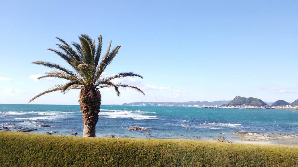 海とのふれあいに夢中
城崎海岸で磯遊び / 1
