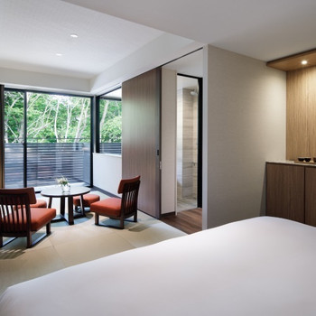 思いっきりリフレッシュできるお部屋3506306