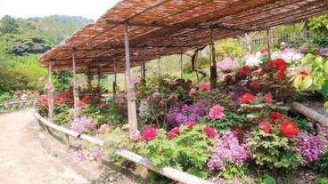 観光スポット / 20