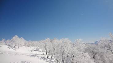 スノー スポーツとスキー / 7