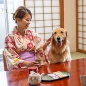 草津温泉 大東館（群馬県 旅館） / 4