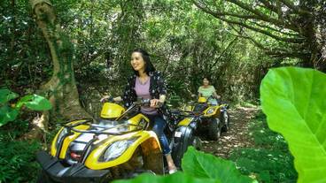 スポーツ設備 / 3