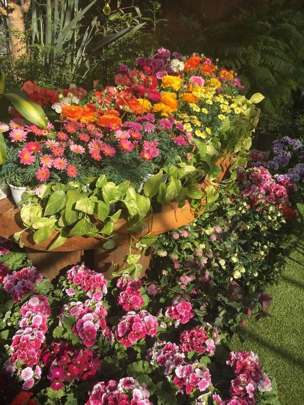 tomomi9570さんの写真 / 3