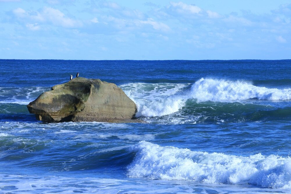 ビーチ / オーシャン ビュー