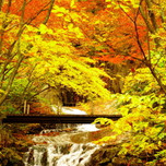 秋だけの贅沢な景色!福島の紅葉が美しいスポット10選