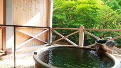 奥飛騨温泉郷 ひなの湯宿 松乃井