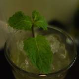 ミントリーフ(ミントリーフ)