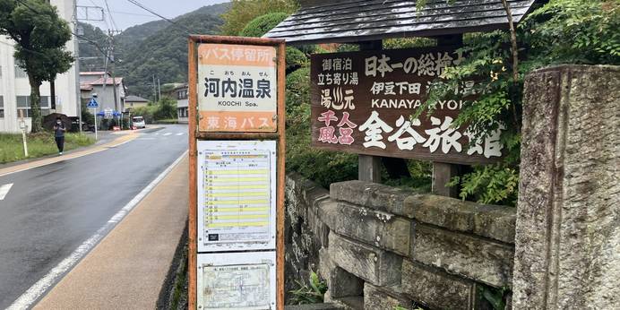 千人風呂 金谷旅館（静岡県 旅館） / 1