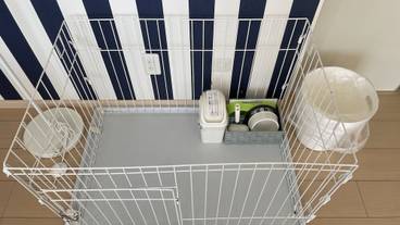 ペット用設備・サービス / 2