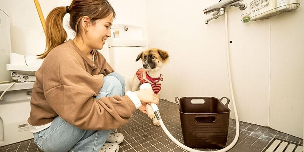 ペット用設備・サービス