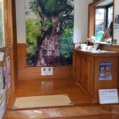 民宿 やくしま家（屋久島）（鹿児島県 民宿） / 3