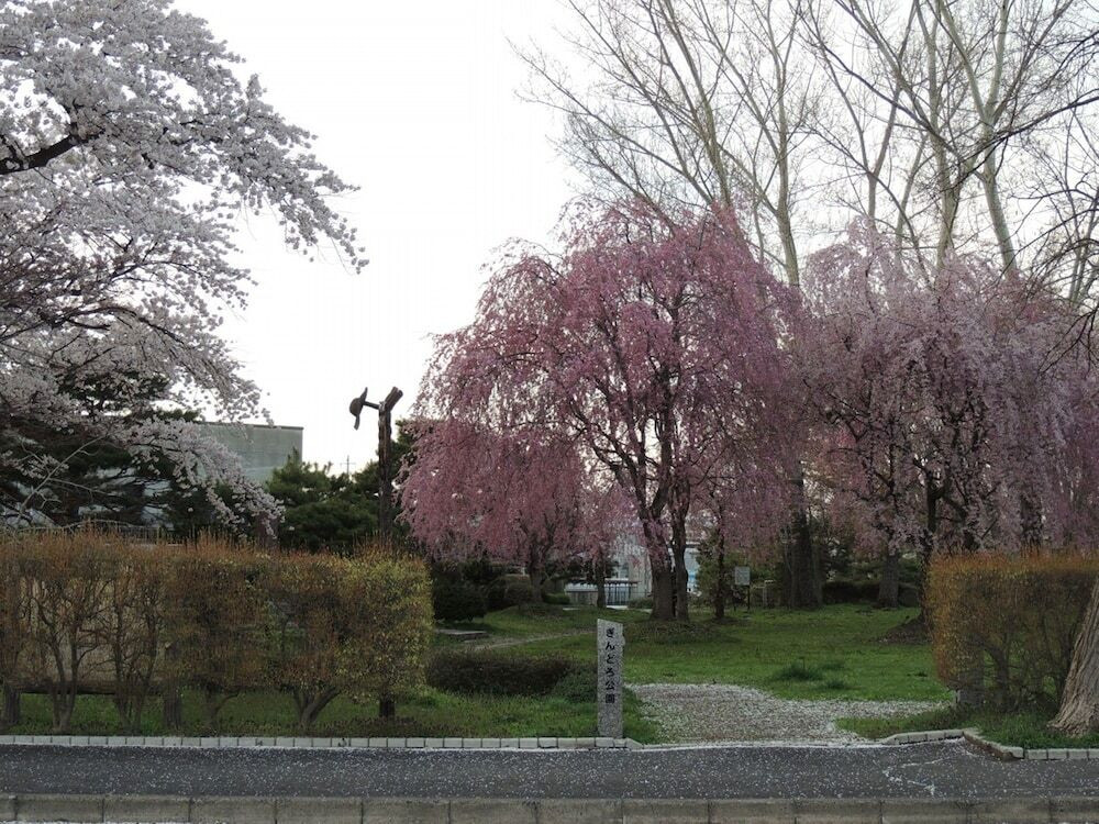 施設からの眺望