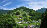 桃源郷 祖谷の山里（トウゲンキョウ イヤノヤマザト）