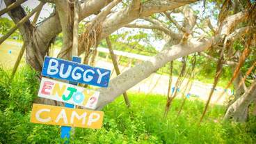 バーベキュー / ピクニック エリア / 32