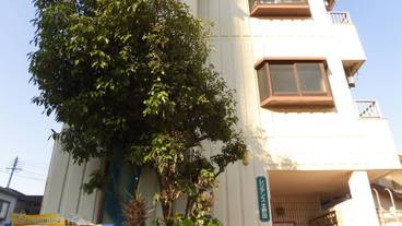 建物のデザイン / 4