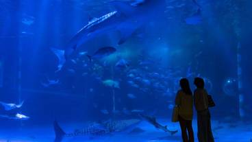 観光スポット / 4