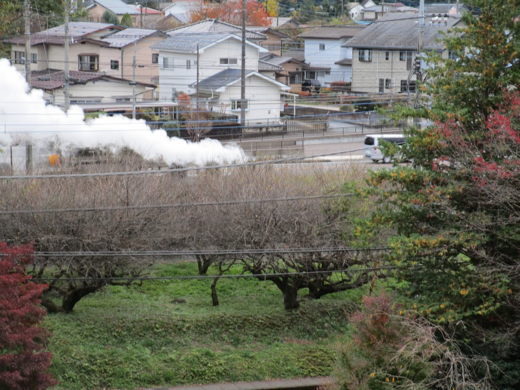 東武のSLの煙が見えました。
