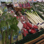 野菜も海産物も安くて新鮮！神奈川でオススメの産直・直売所6選