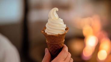 ビュッフェ / 26