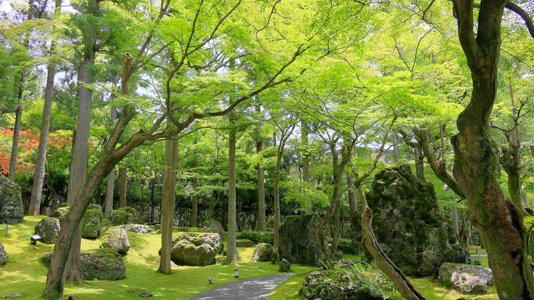 しょうざんリゾート京都 / 1