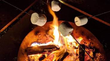 バーベキュー / ピクニック エリア / 14