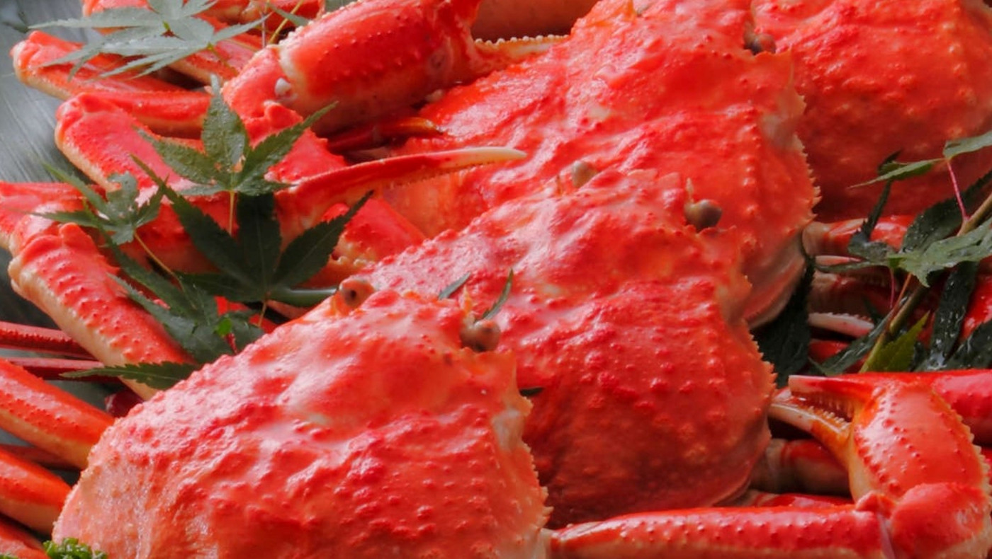 福井名物！絶品カニを味わえる宿3914179