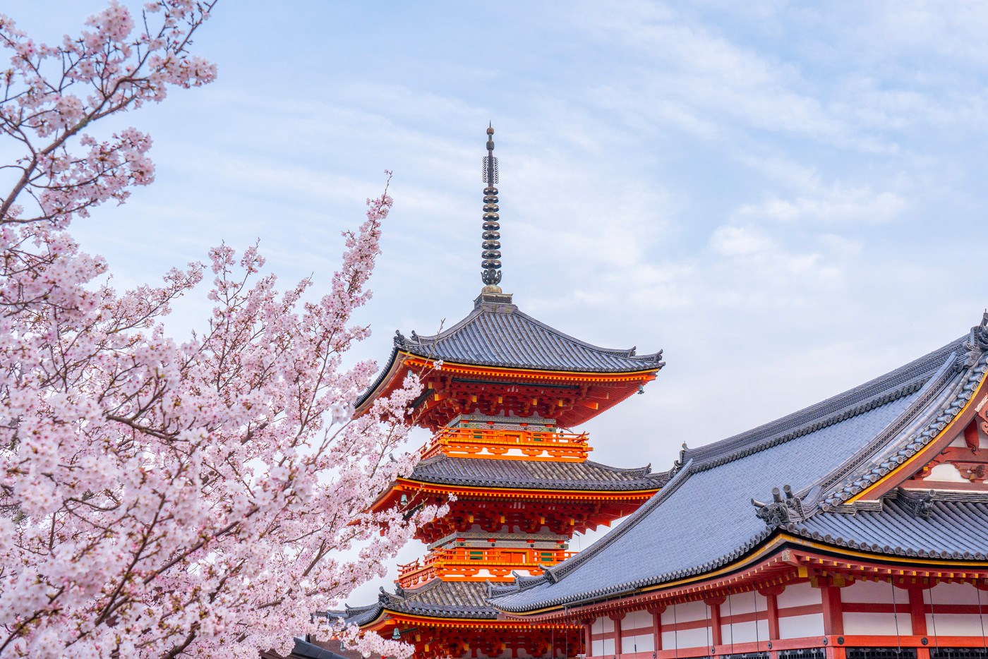 フォトジェニックな桜と古都を楽しむ女子旅♪3439056