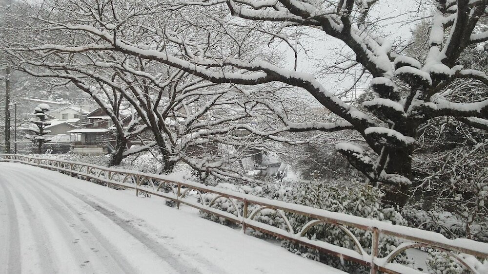 施設からの眺望