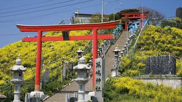 観光スポット / 4