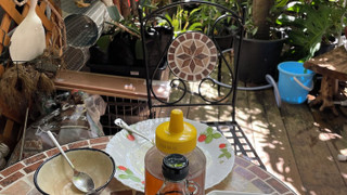 コンフォートルーム ジャングルビュー 禁煙 女性専用 (シングルベッド 1台および布団 1組)