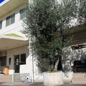 小豆島オリーブユースホステル(小豆島)(香川県 ゲストハウス・ホステル・ドミトリー) / 5