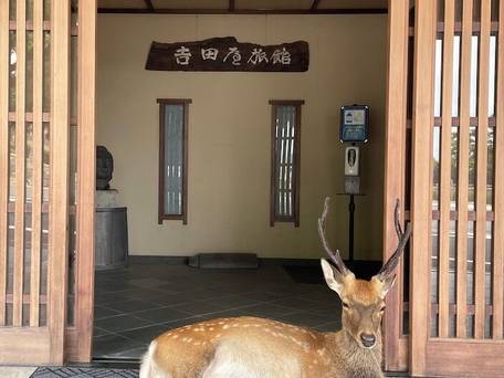 さるさわ池 よしだや / 1