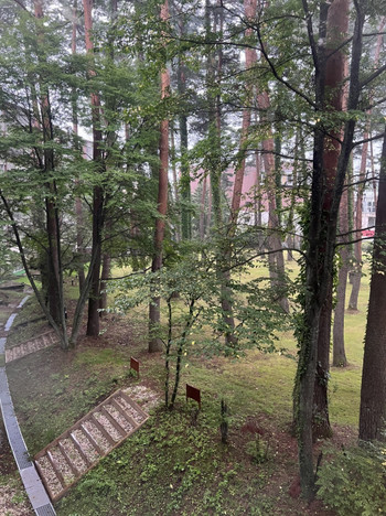 4.森と水辺に立ち並ぶラグジュアリーな「フジプレミアムリゾート（フォレストビレッジ）」3388281