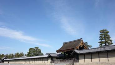 観光スポット / 7