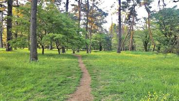 観光スポット / 6