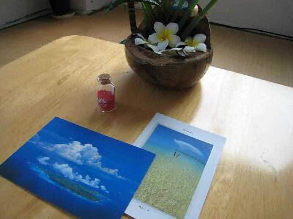 客室の設備とサービス