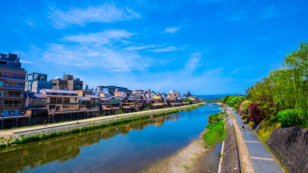 鴨川の清々しさに
心洗われる散策 / 1