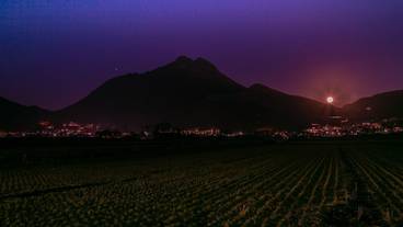 ランド ビュー / 18