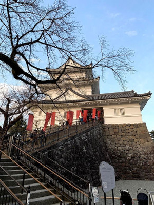 小田原城 / 2