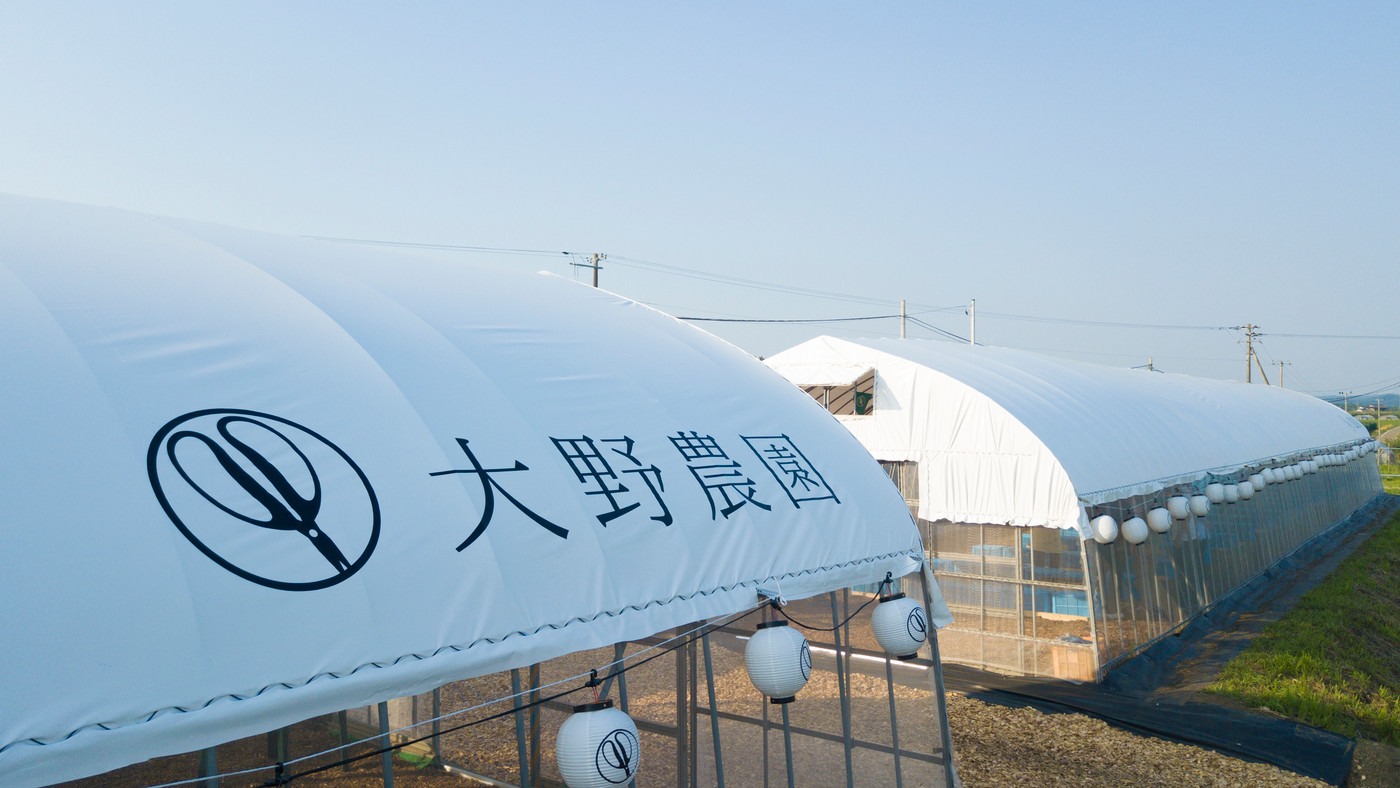 4. おしゃれハウスで絶品フルーツピザをいただく「大野農園」2017052