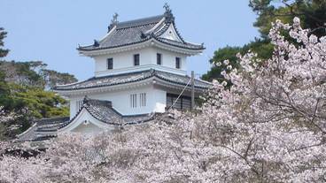 観光スポット / 7