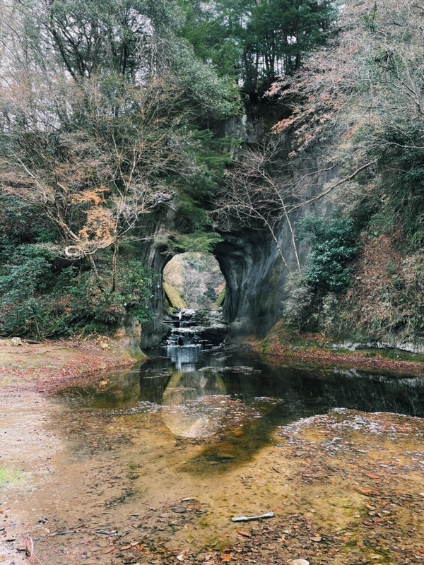 popomumczさんの写真 / 1